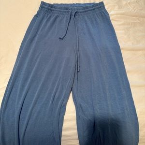 Aritzia Pants